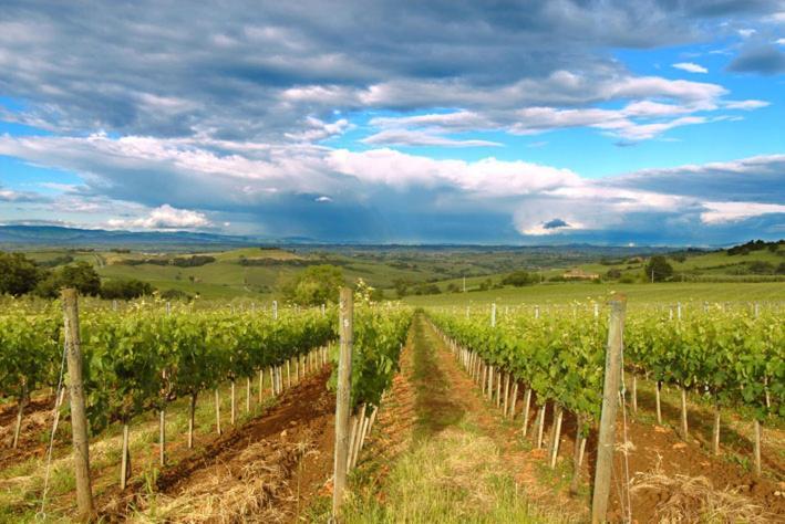 Abbadia Wine Relais Bed & Breakfast Montefollonico Exterior photo