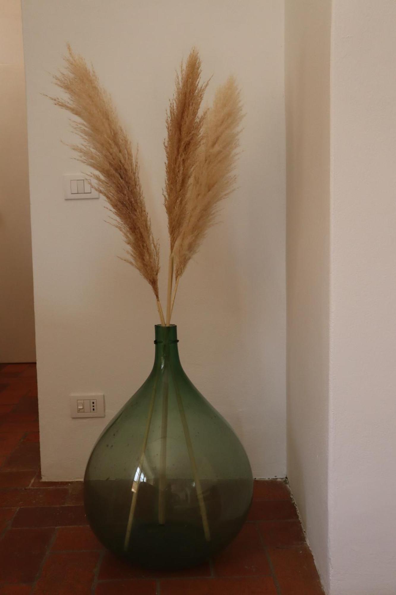 Abbadia Wine Relais Bed & Breakfast Montefollonico Exterior photo