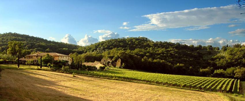 Abbadia Wine Relais Bed & Breakfast Montefollonico Exterior photo