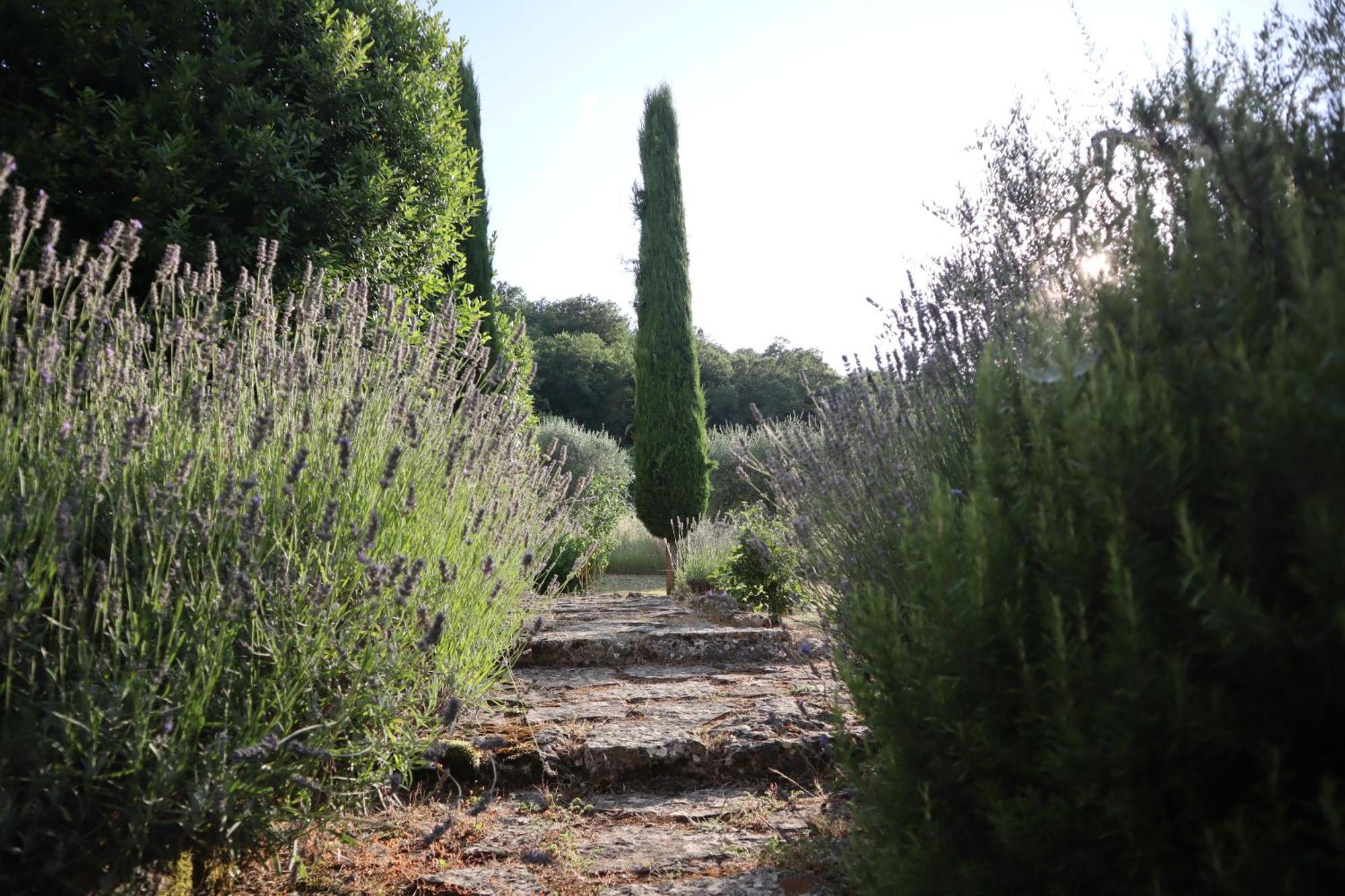 Abbadia Wine Relais Bed & Breakfast Montefollonico Exterior photo