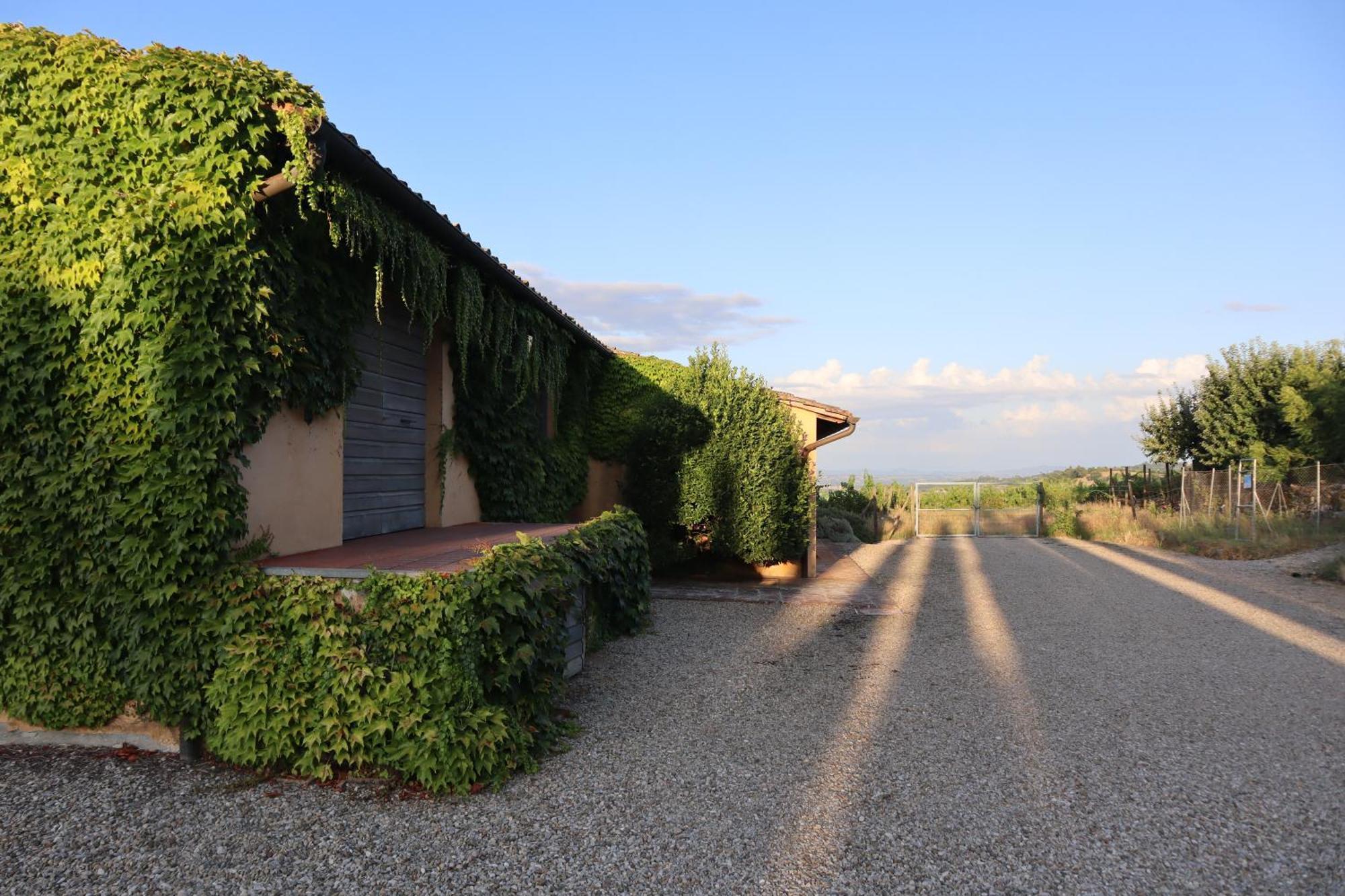 Abbadia Wine Relais Bed & Breakfast Montefollonico Exterior photo