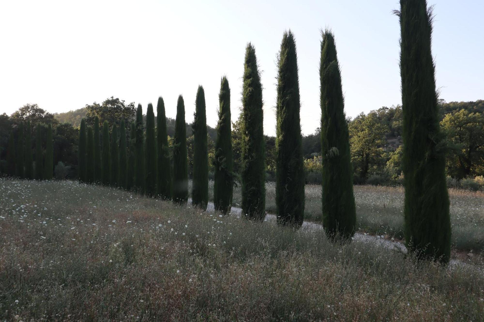 Abbadia Wine Relais Bed & Breakfast Montefollonico Exterior photo