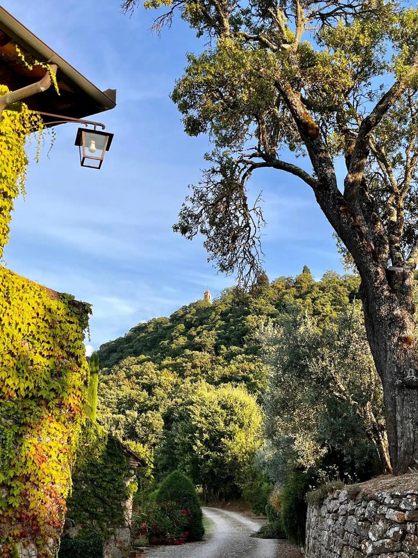 Abbadia Wine Relais Bed & Breakfast Montefollonico Exterior photo